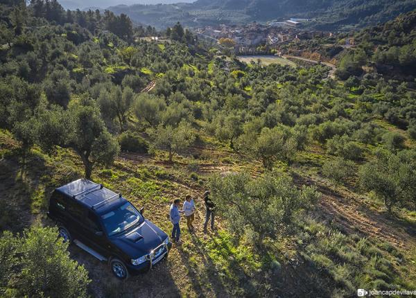 Olive oil tourism Priorat