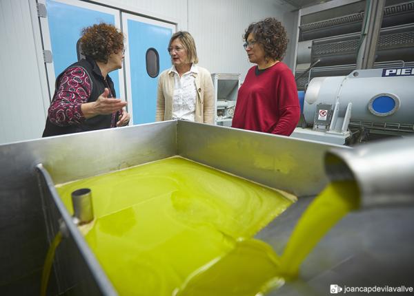 Olive oil tourism Priorat