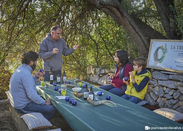 Olive oil tourism Priorat