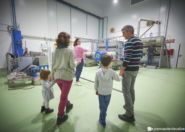 Olive oil tourism Priorat