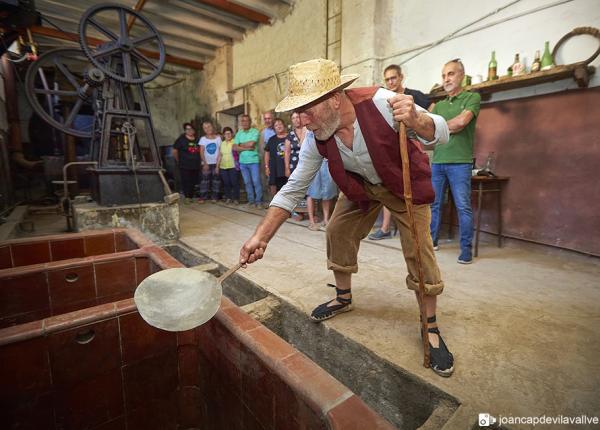 Olive oil tourism Priorat