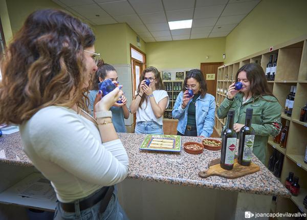 Olive oil tourism Priorat