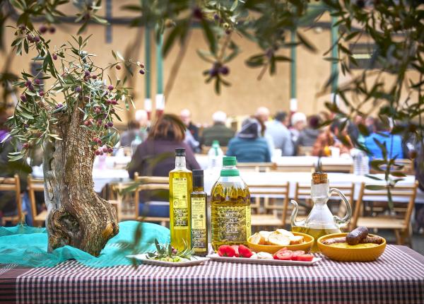 Olive oil tourism Priorat