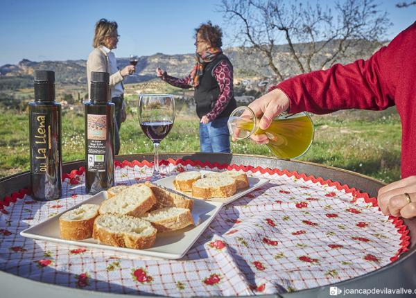 die besten Weinregionen in spanien