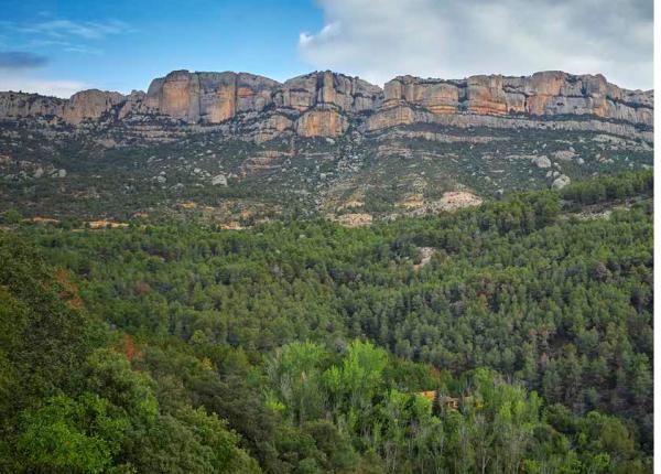 senderisme Priorat